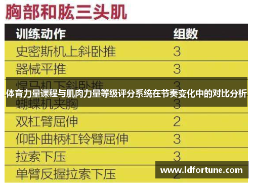 体育力量课程与肌肉力量等级评分系统在节奏变化中的对比分析