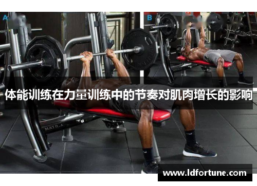 体能训练在力量训练中的节奏对肌肉增长的影响